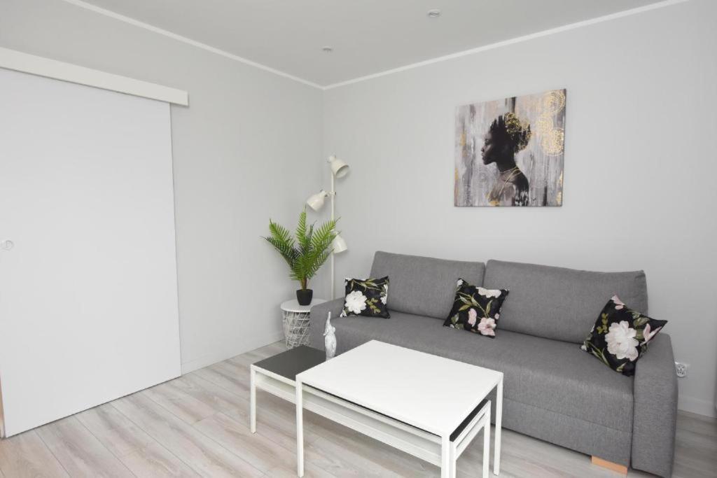 Apartament Lovely Dreams With Car Place Stary Toruń